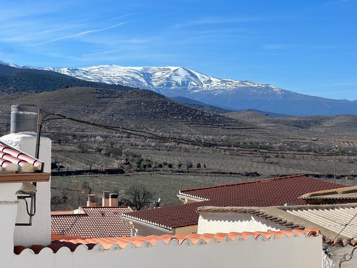Dólar, Granada