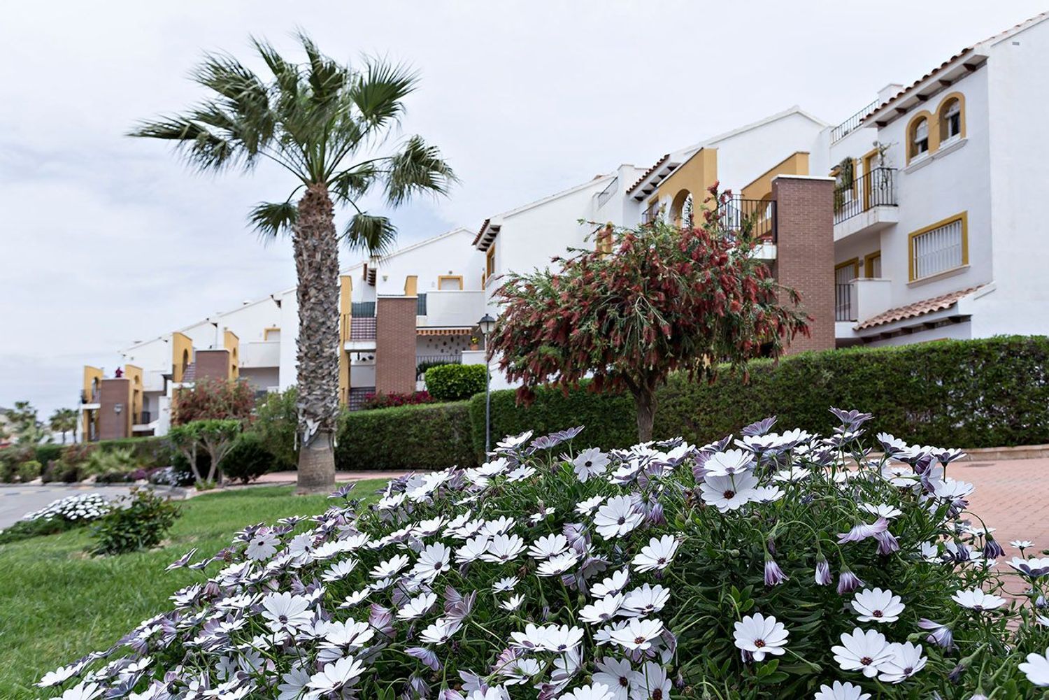 Pisos-Alquiler-HuÃ©rcal-Overa-1443762-Foto-41