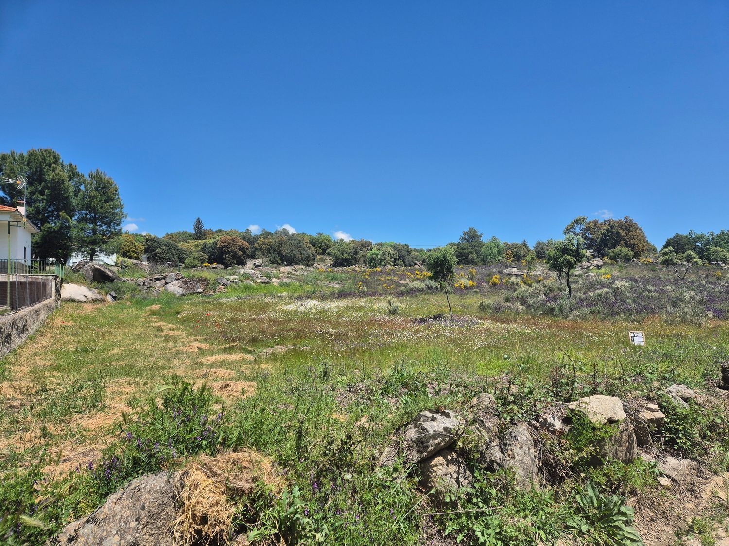 Fincas y solares-Venta-Burgohondo-1834993-Foto-2