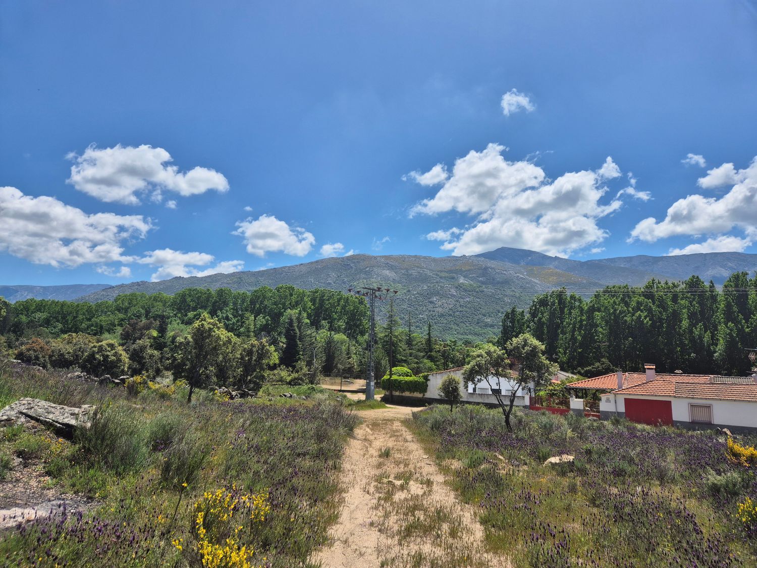 Fincas y solares-Venta-Burgohondo-1834993-Foto-8