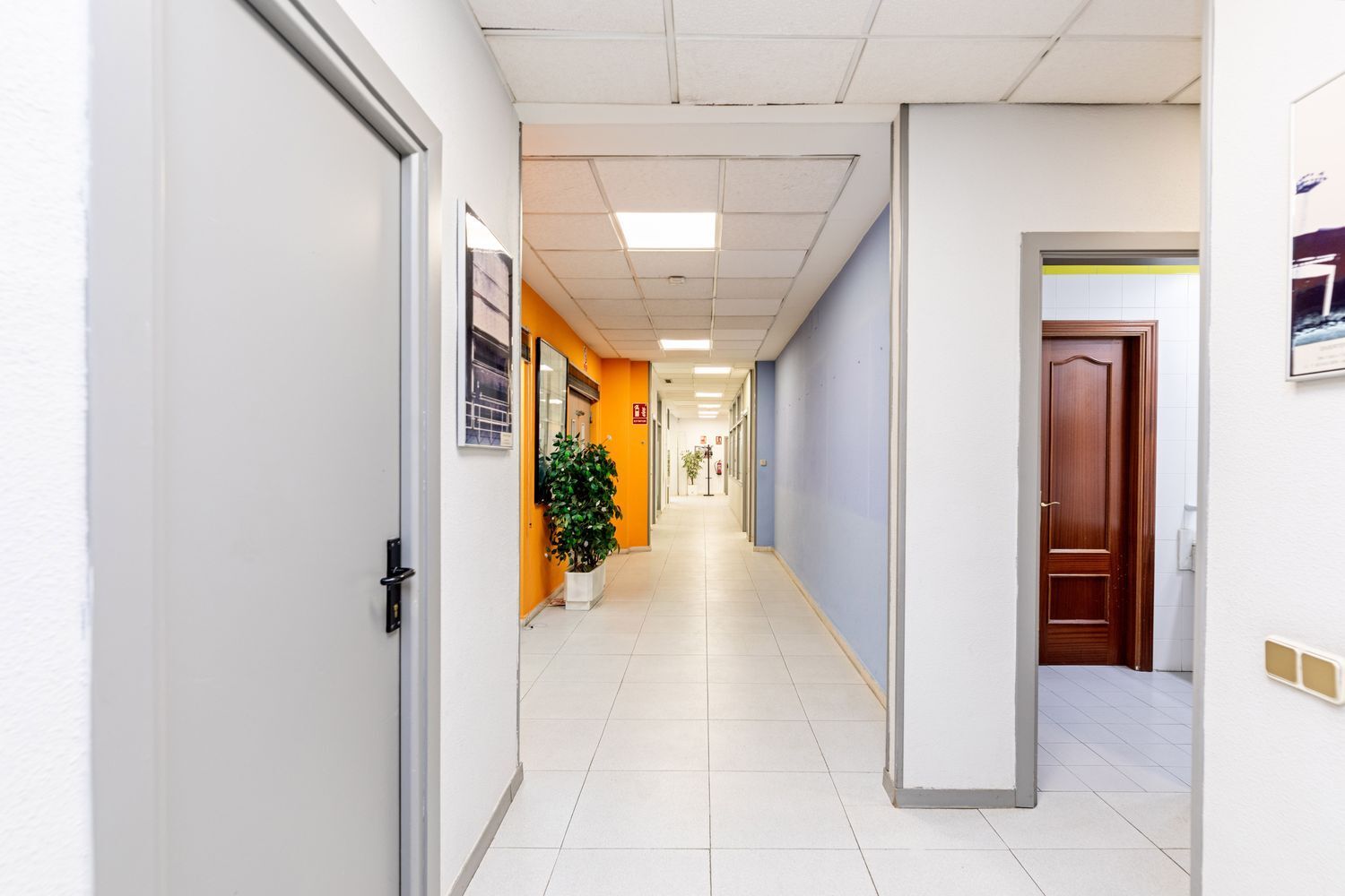 Oficinas-Venta-Madrid-1508958-Foto-12