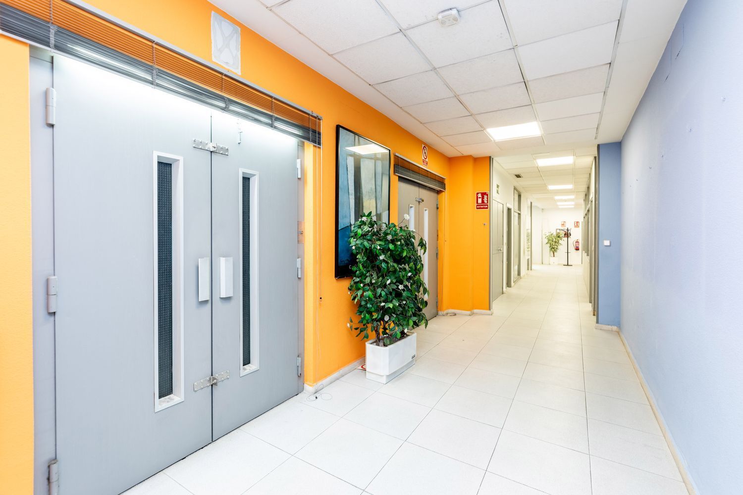 Oficinas-Venta-Madrid-1508958-Foto-16
