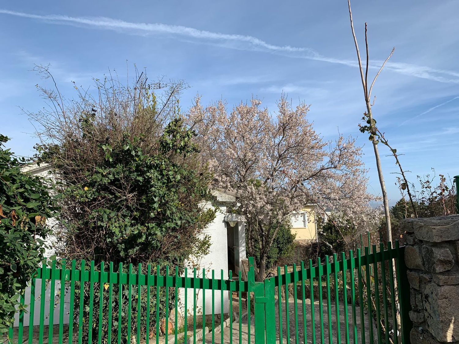 Casas o chalets-Venta-Navahondilla-1638546-Foto-32