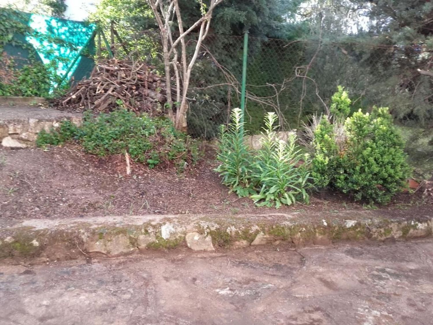 Casas o chalets-Venta-Navahondilla-1638546-Foto-34