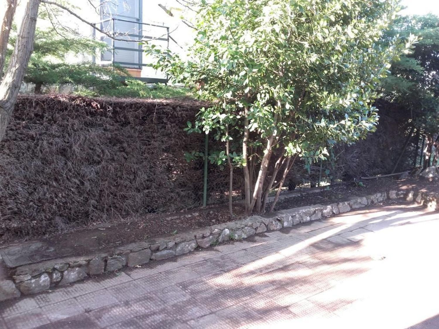 Casas o chalets-Venta-Navahondilla-1638546-Foto-33