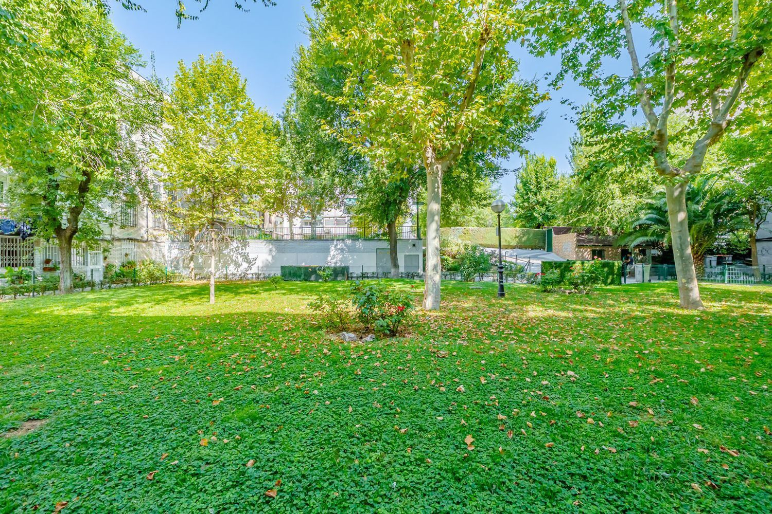 Pisos-Venta-Madrid-1835014