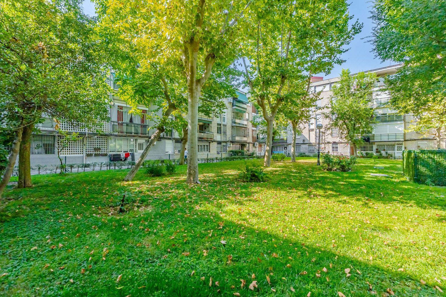 Pisos-Venta-Madrid-1835014-Foto-4