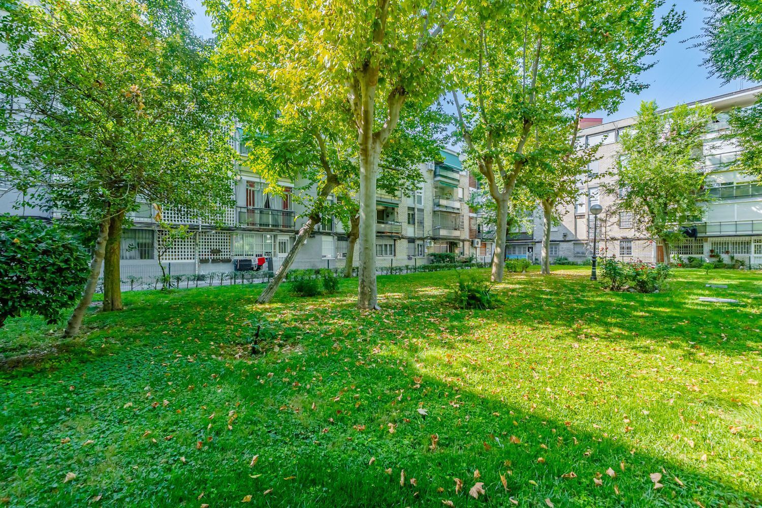 Pisos-Venta-Madrid-1835014-Foto-31