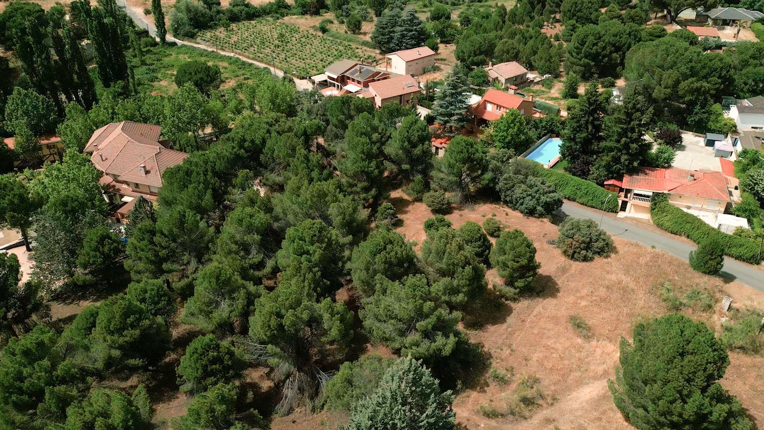 Fincas y solares-Venta-Pelayos de la Presa-743095-Foto-14