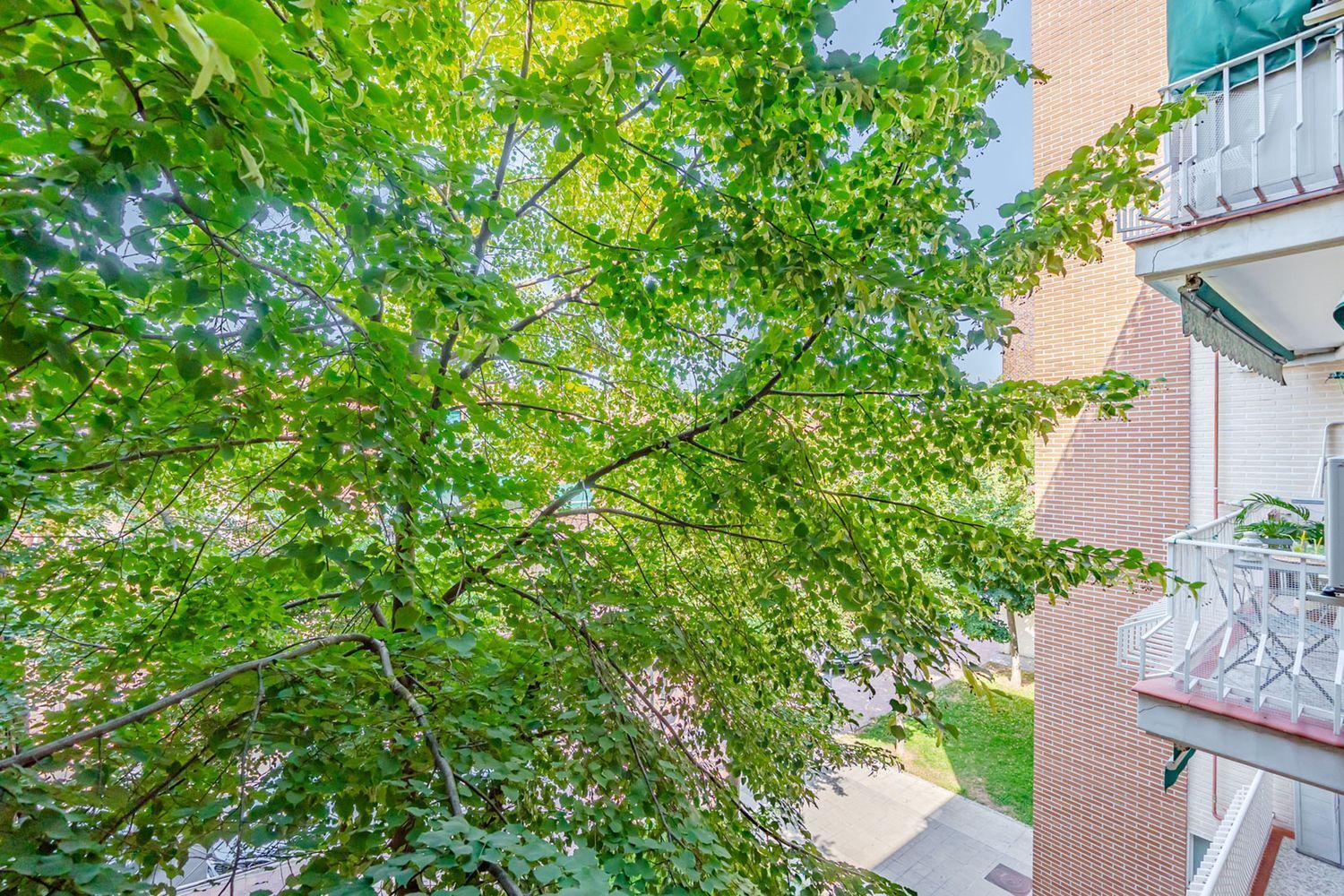 Pisos-Venta-Pozuelo de AlarcÃ³n-1835023-Foto-50