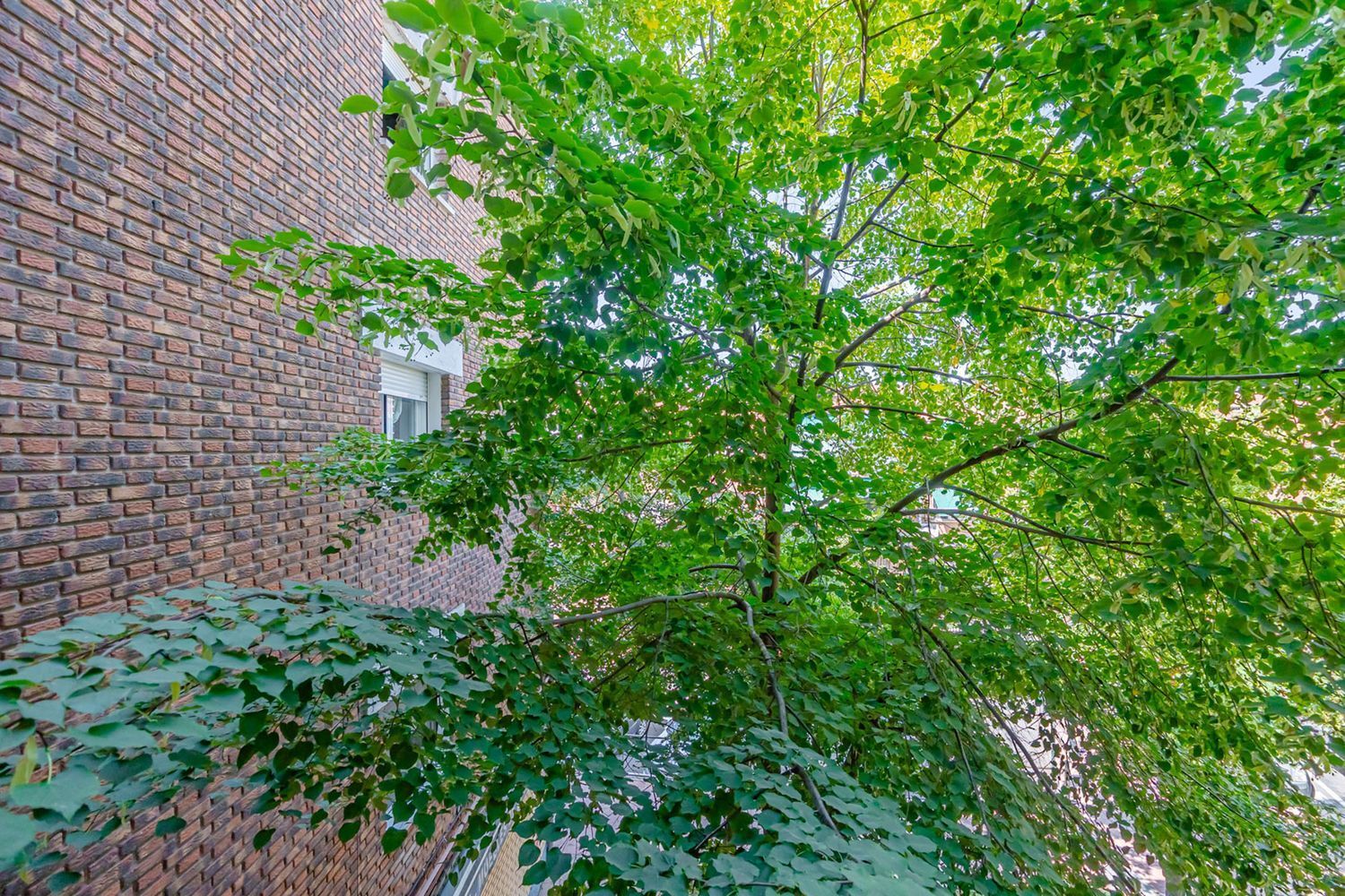 Pisos-Venta-Pozuelo de AlarcÃ³n-1835023-Foto-49