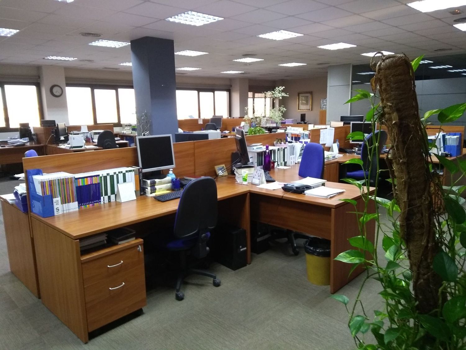 Oficinas-Venta-Las Rozas de Madrid-1036593-Foto-6