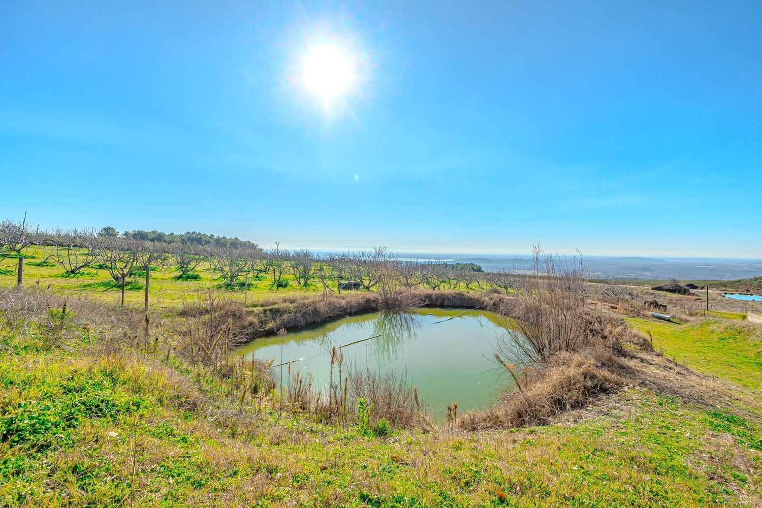Fincas y solares-Venta-Candeleda-1536546-Foto-4
