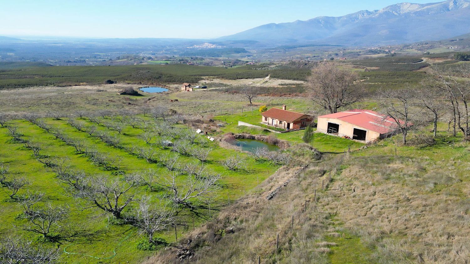 Fincas y solares-Venta-Candeleda-1536546