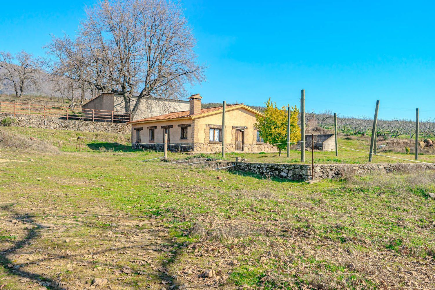 Fincas y solares-Venta-Candeleda-1536546-Foto-5