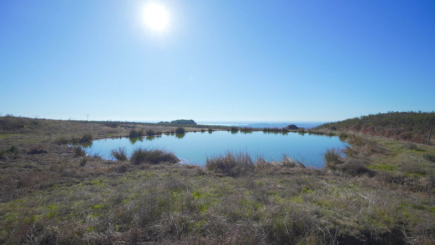 Fincas y solares-Venta-Candeleda-1536546-Foto-9