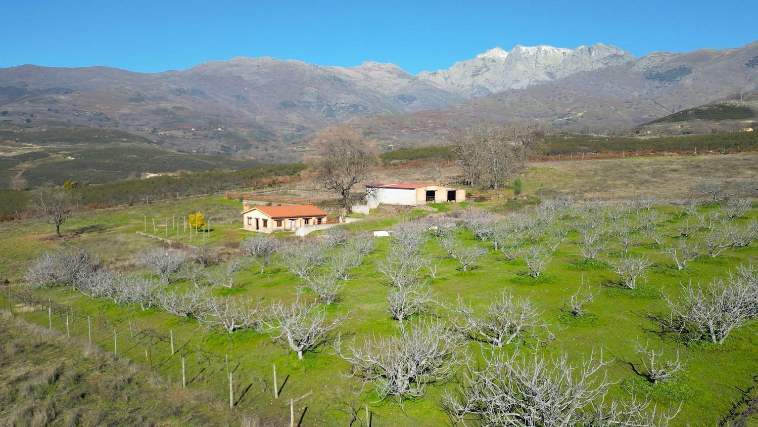 Fincas y solares-Venta-Candeleda-1536546-Foto-23