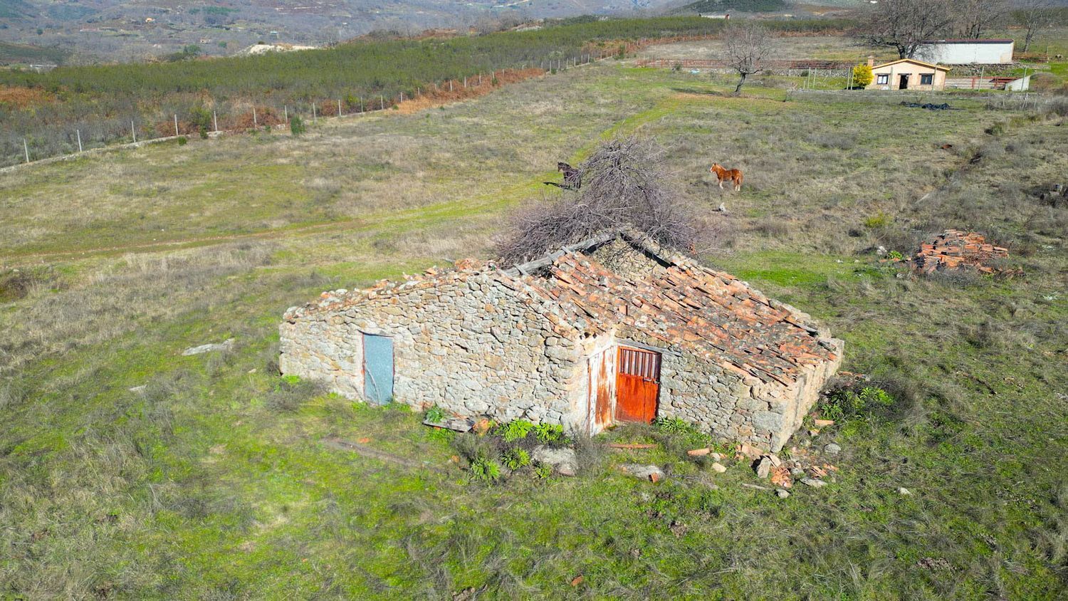 Fincas y solares-Venta-Candeleda-1536546-Foto-25
