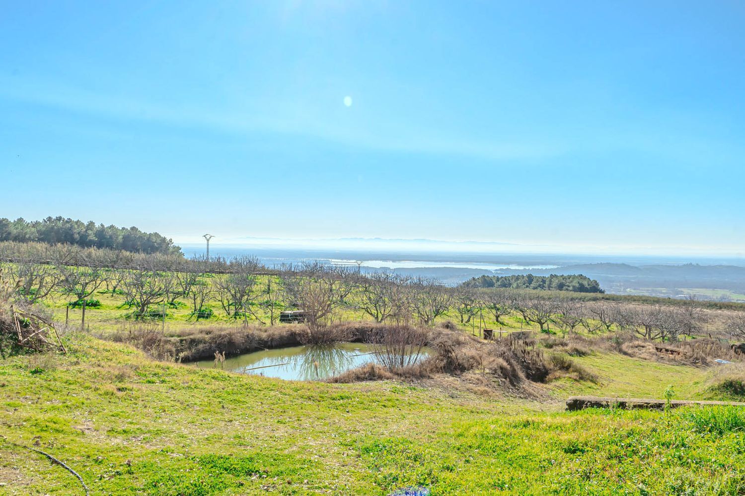 Casas o chalets-Venta-Candeleda-1536543-Foto-9