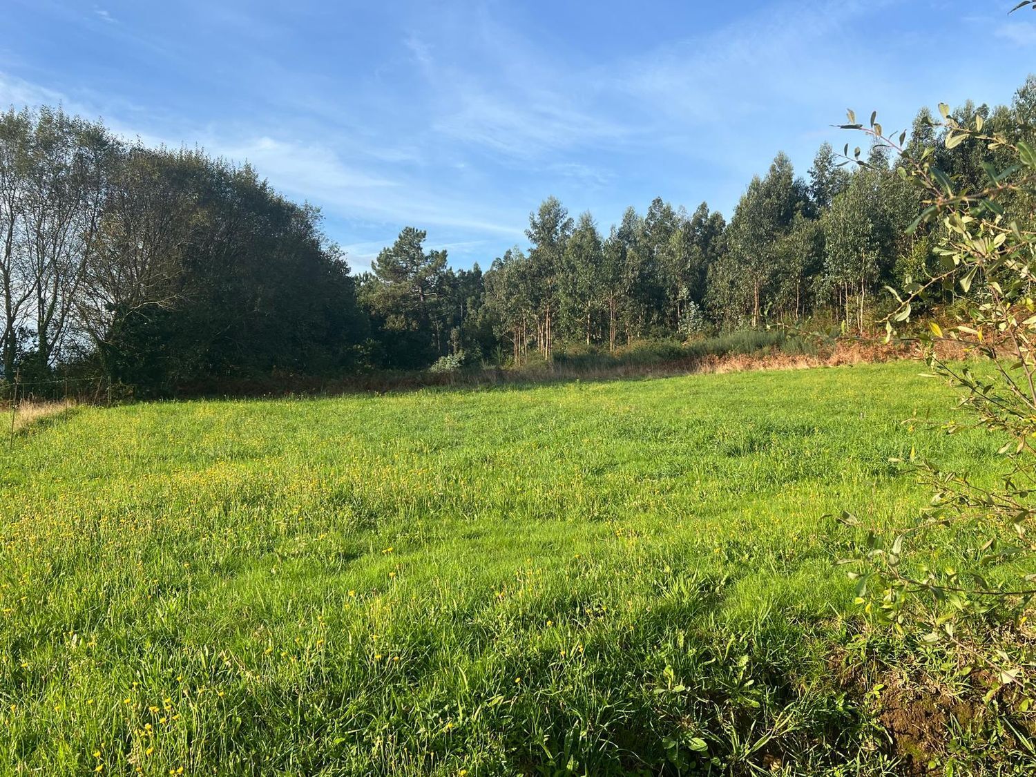 Casas o chalets-Venta-San SadurniÃ±o-1428359-Foto-18