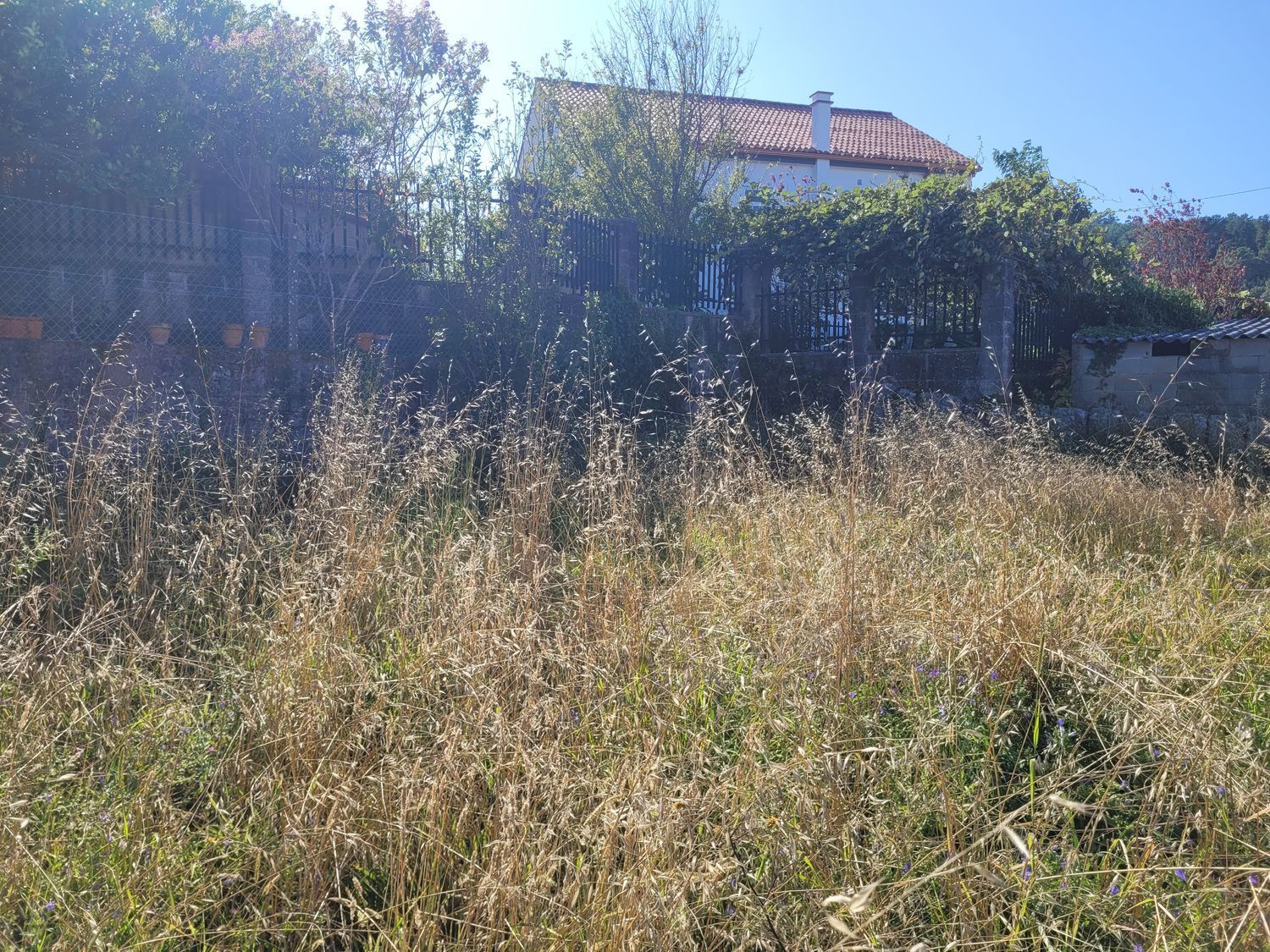 Casas o chalets-Venta-Muros-1461008-Foto-10