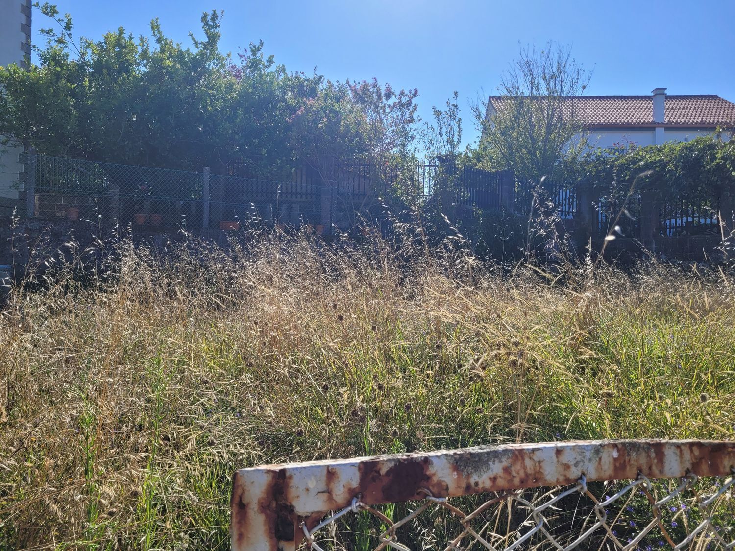 Casas o chalets-Venta-Muros-1461008-Foto-15