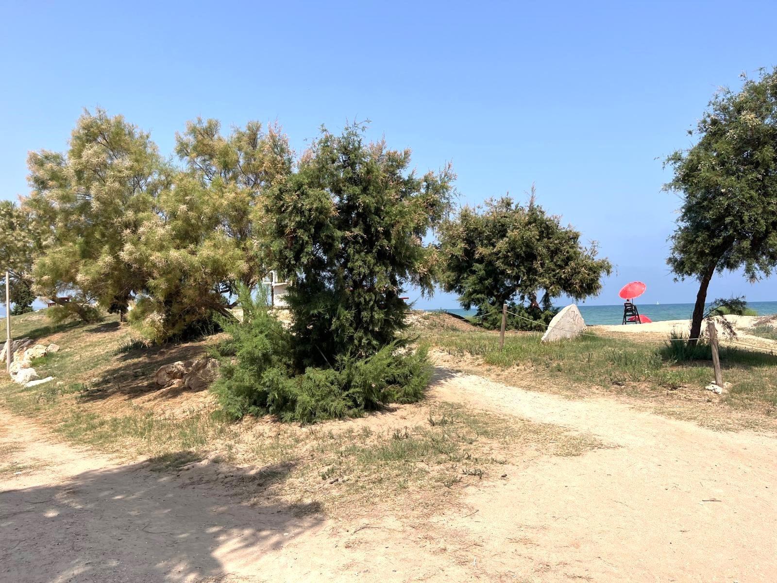 Pisos-Venta-Tavernes de la Valldigna-1835038-Foto-36
