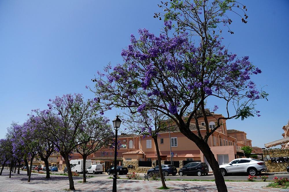 Casas o chalets-Venta-Tomares-1744129-Foto-49