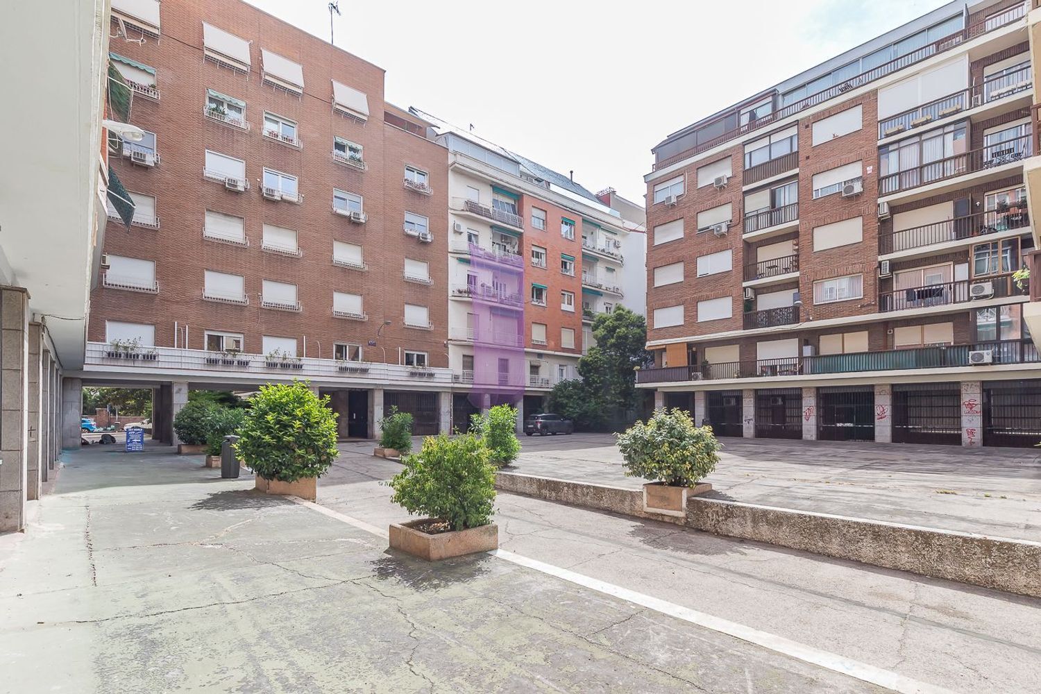 Pisos-Venta-Madrid-1753356-Foto-22