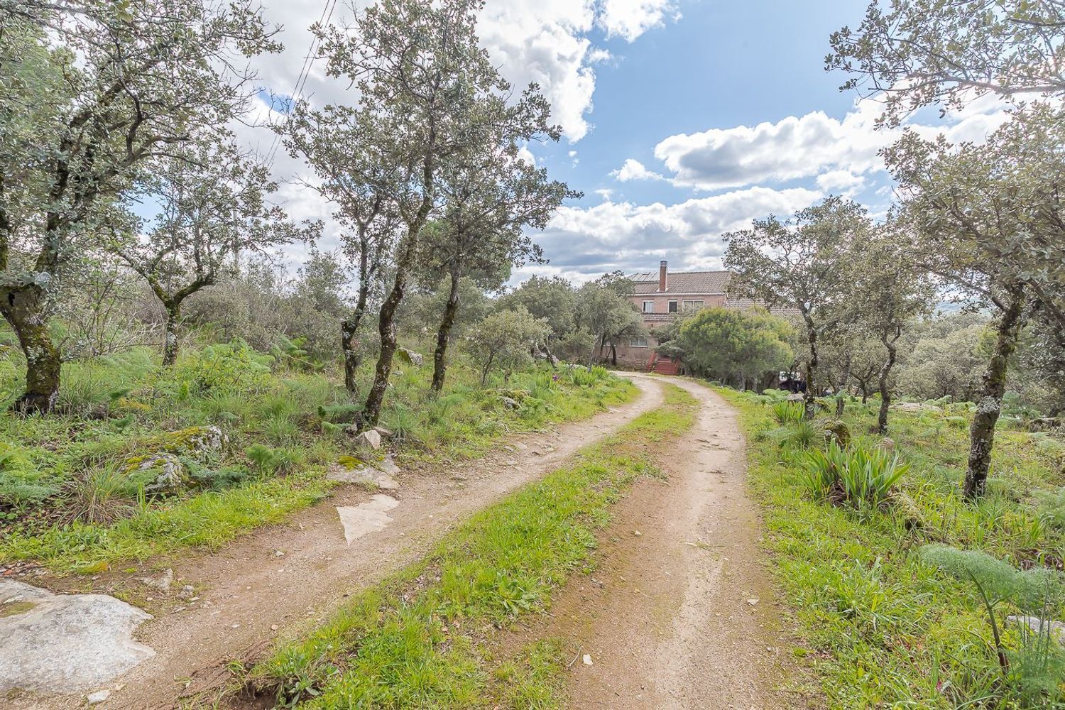 Casas o chalets-Venta-Torrelodones-1682006-Foto-65