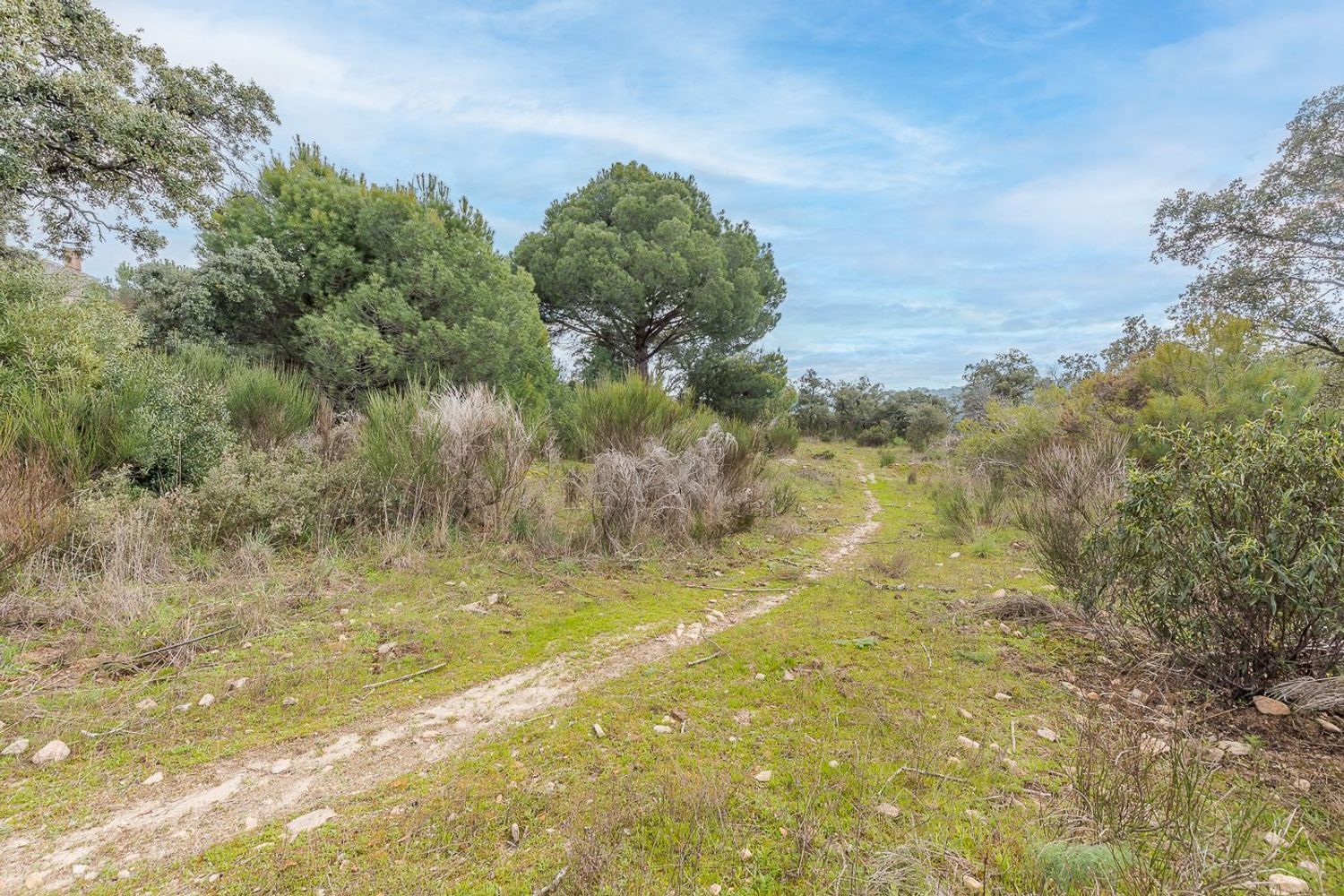 Casas o chalets-Venta-Torrelodones-1682006-Foto-69