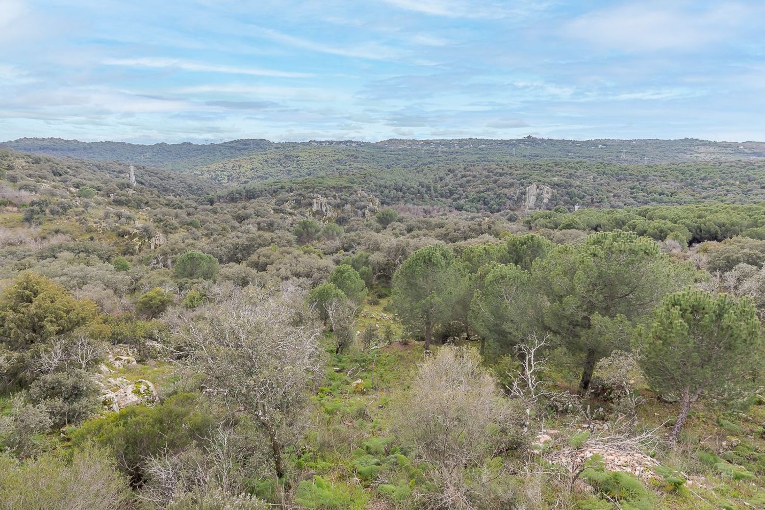 Casas o chalets-Venta-Torrelodones-1682006-Foto-74