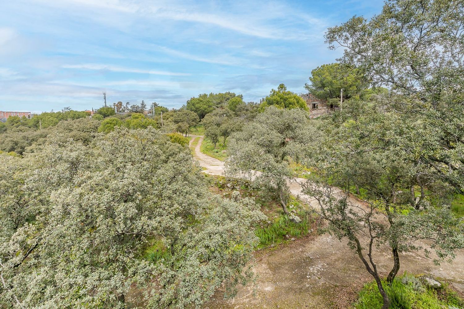 Casas o chalets-Venta-Torrelodones-1682000-Foto-16