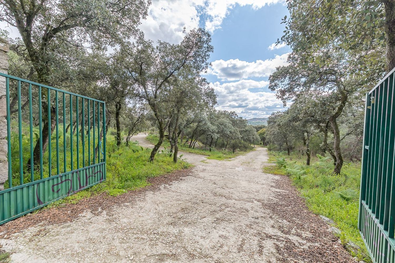 Casas o chalets-Venta-Torrelodones-1682000-Foto-57