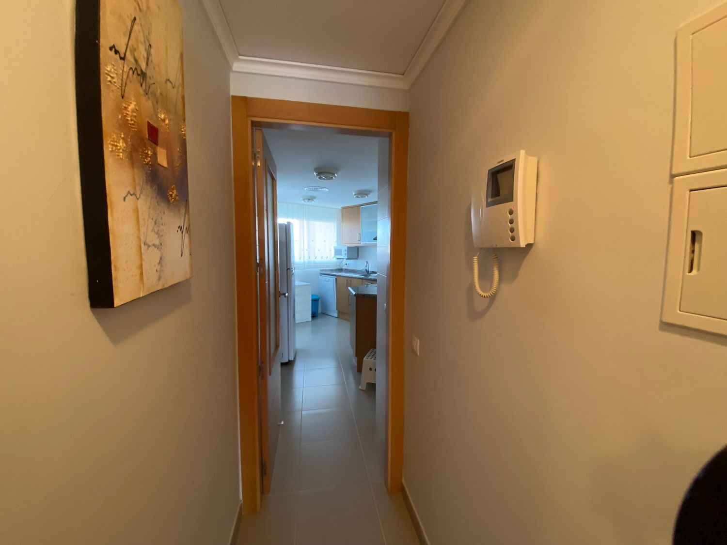 Pisos-Venta-Torreblanca-1707747-Foto-28