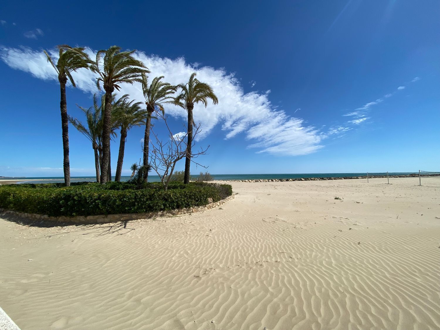 Pisos-Venta-Torreblanca-1707747-Foto-89