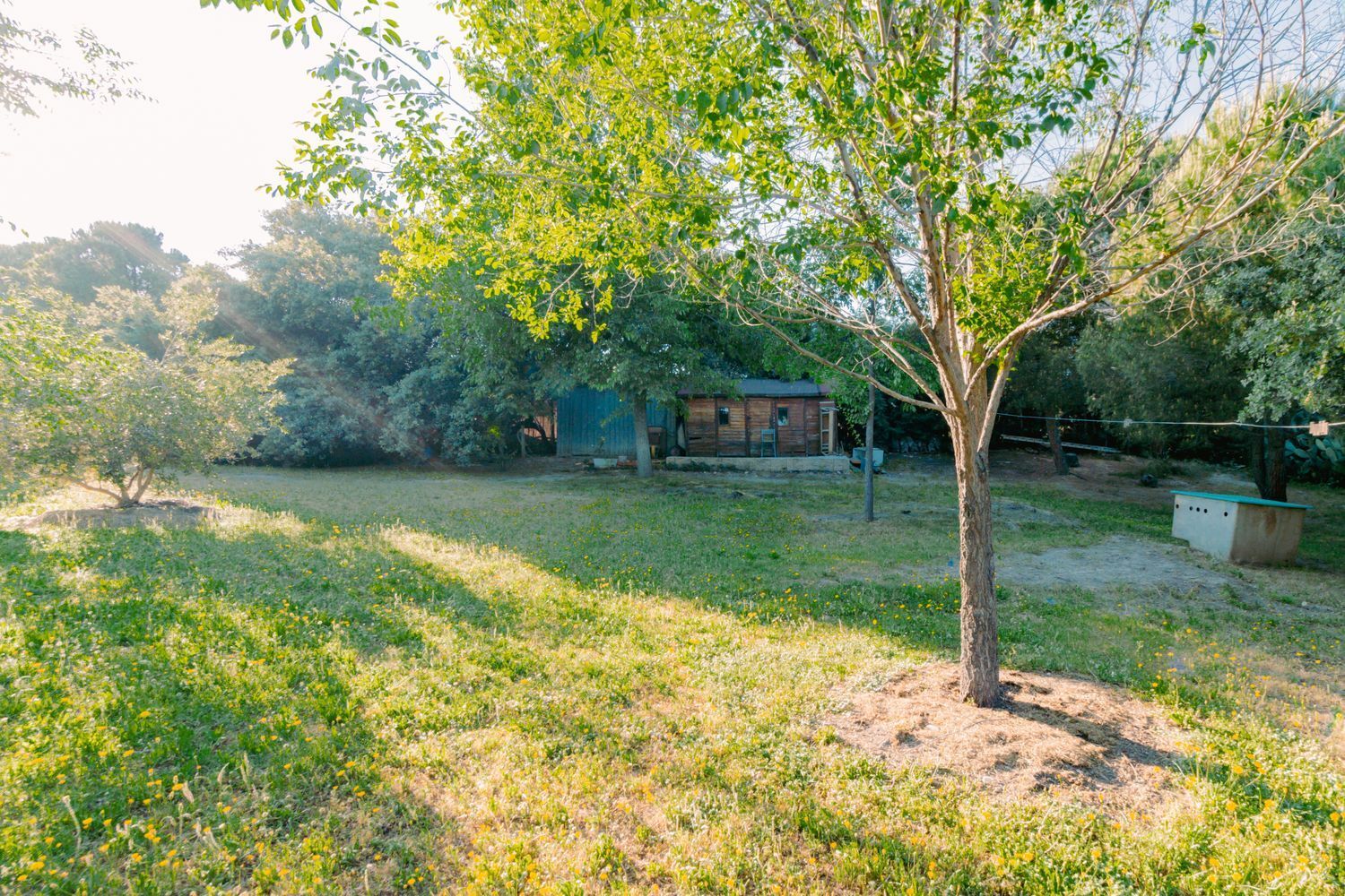 Casas o chalets-Venta-Las Rozas de Madrid-1747721-Foto-13
