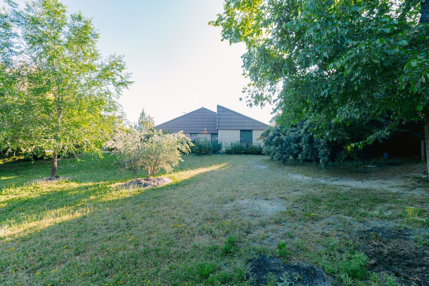 Casas o chalets-Venta-Las Rozas de Madrid-1747721-Foto-14