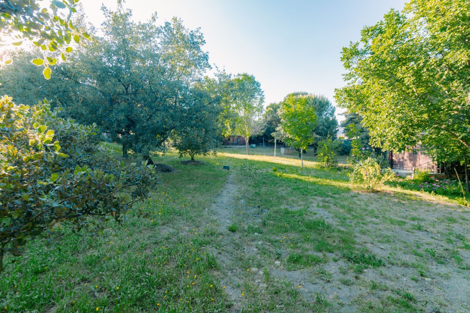 Casas o chalets-Venta-Las Rozas de Madrid-1747721-Foto-12