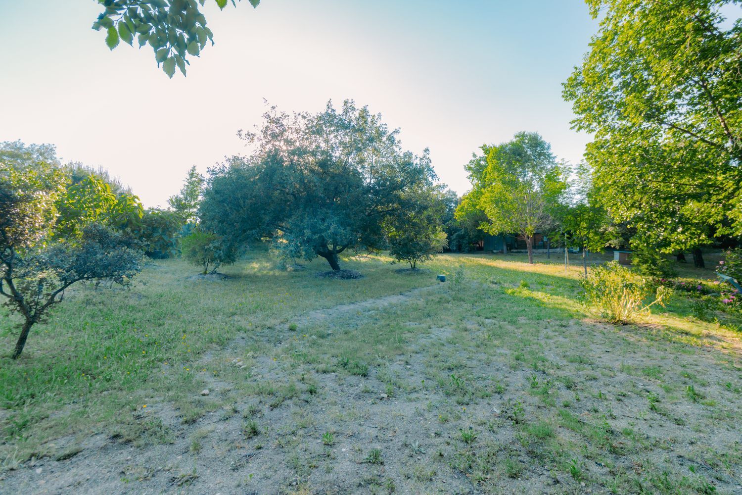 Casas o chalets-Venta-Las Rozas de Madrid-1747721-Foto-20
