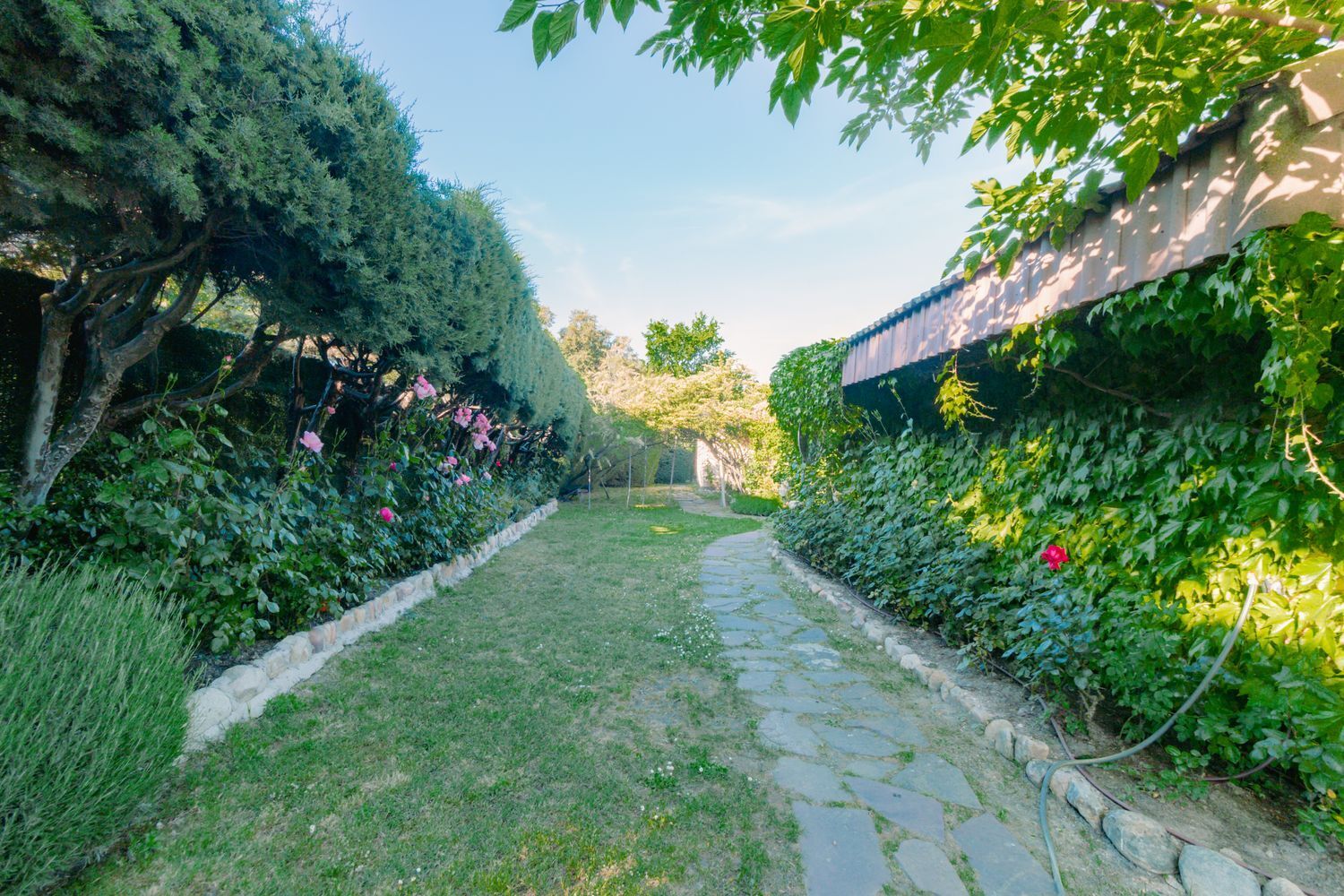 Casas o chalets-Venta-Las Rozas de Madrid-1747721-Foto-25