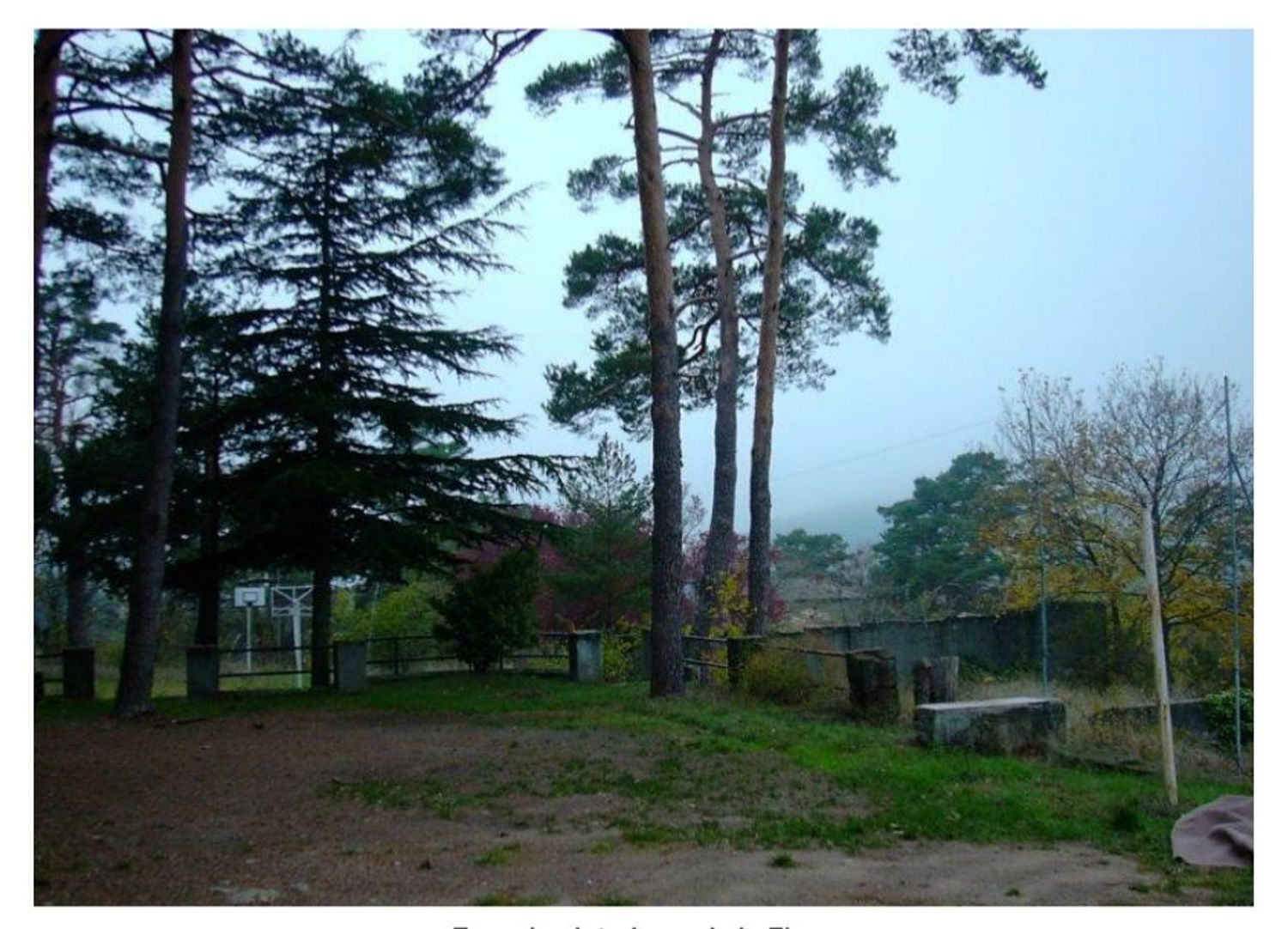 Casas o chalets-Venta-El Espinar-1729056-Foto-4