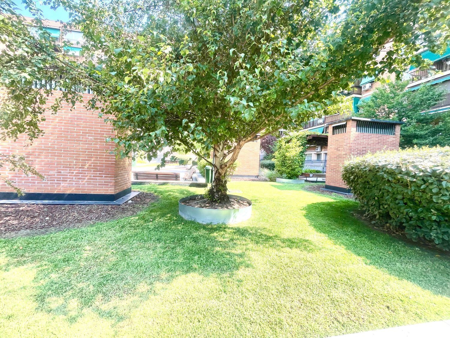 Pisos-Venta-Madrid-1835044-Foto-17
