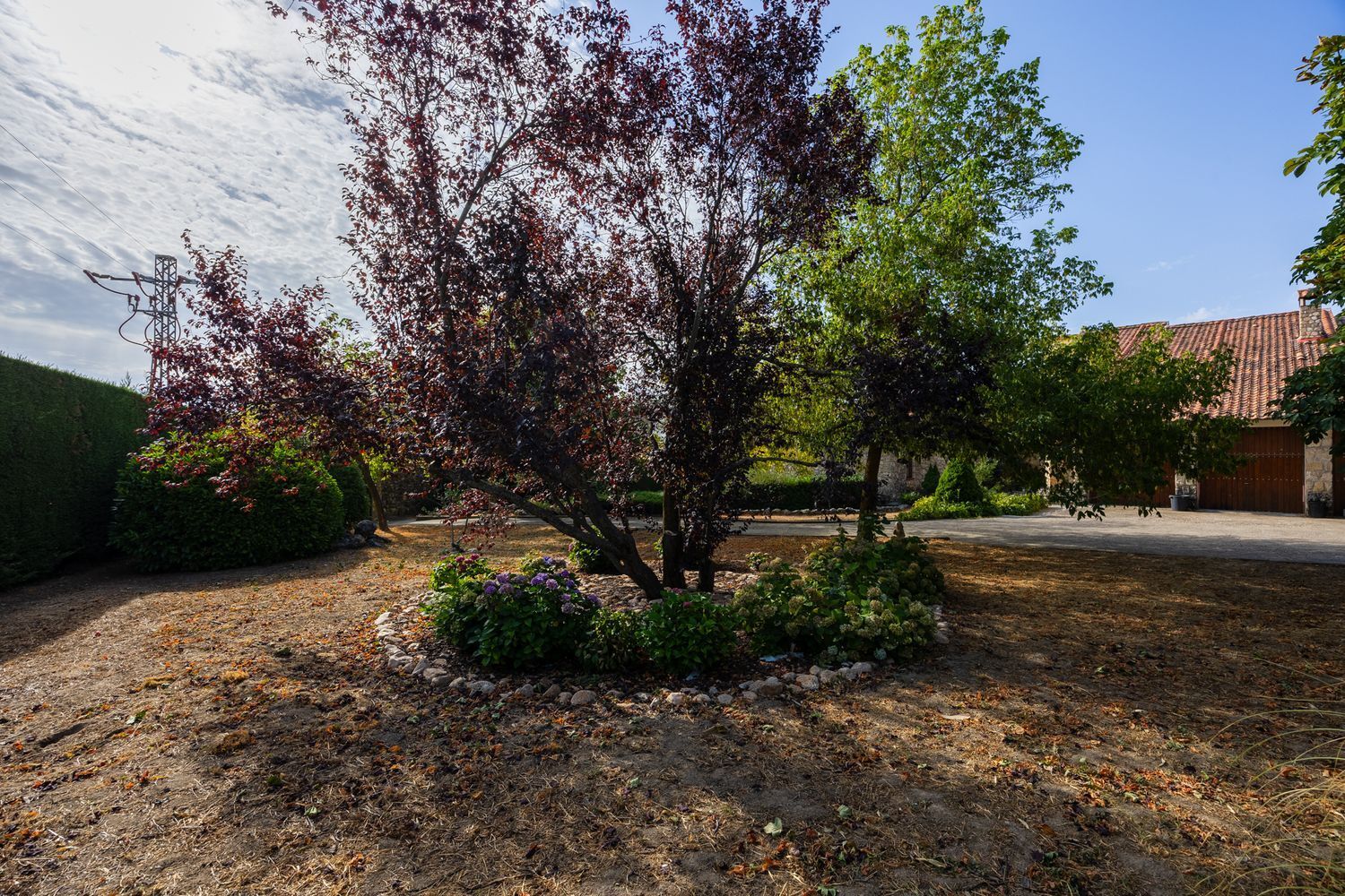 Casas o chalets-Venta-Torrecaballeros-1834097-Foto-16