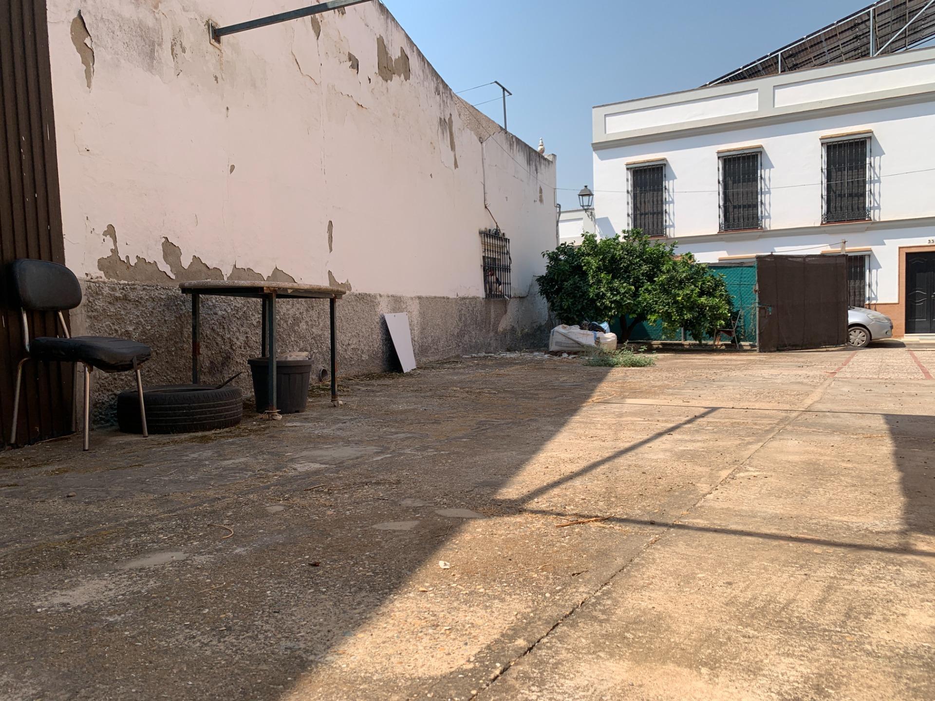 Fincas y solares-Venta-Cantillana-1835059-Foto-7