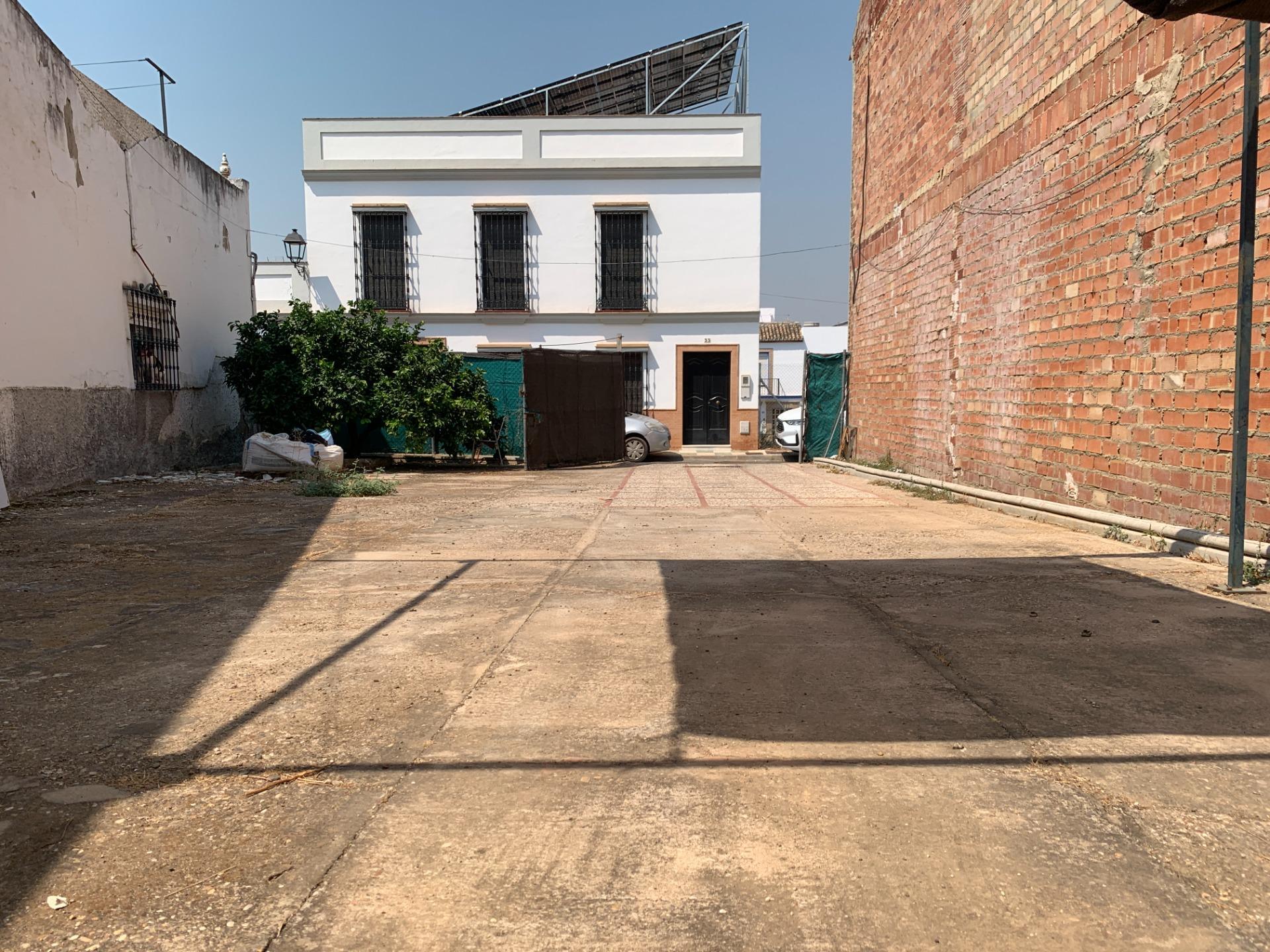 Fincas y solares-Venta-Cantillana-1835059-Foto-6