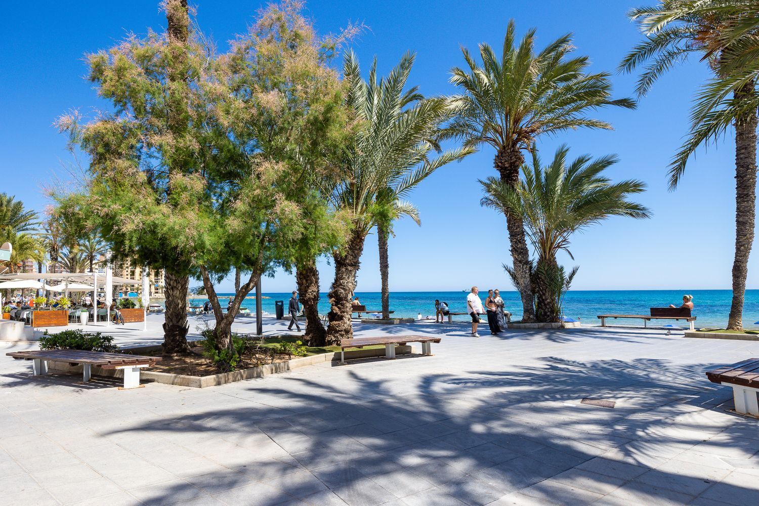 Pisos-Venta-Torrevieja-1835056-Foto-41