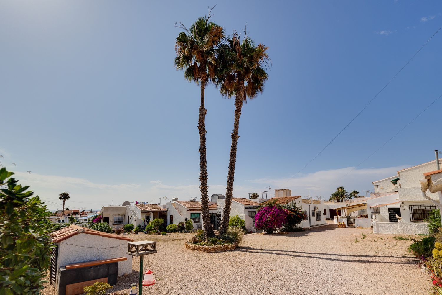 Casas o chalets-Venta-Torrevieja-1754944-Foto-9