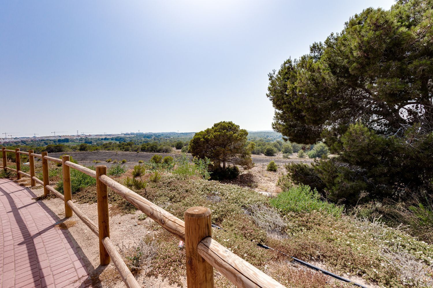 Casas o chalets-Venta-Orihuela-1753308-Foto-42