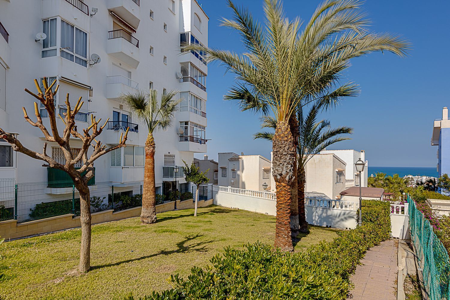 Pisos-Venta-Torrevieja-1835062-Foto-20